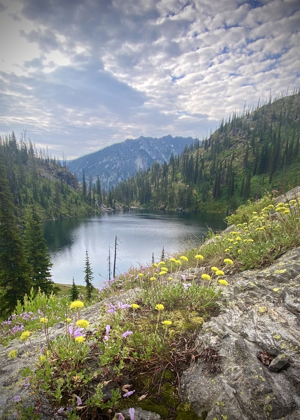 EPA Takes Action to Conserve Clean Water, Wetlands, Healthy Habitat