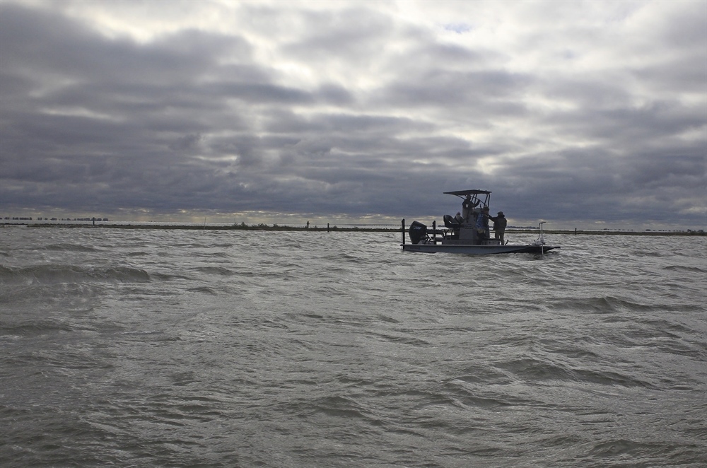 Habitat Restoration Through Partnership