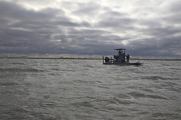 Habitat Restoration Through Partnership