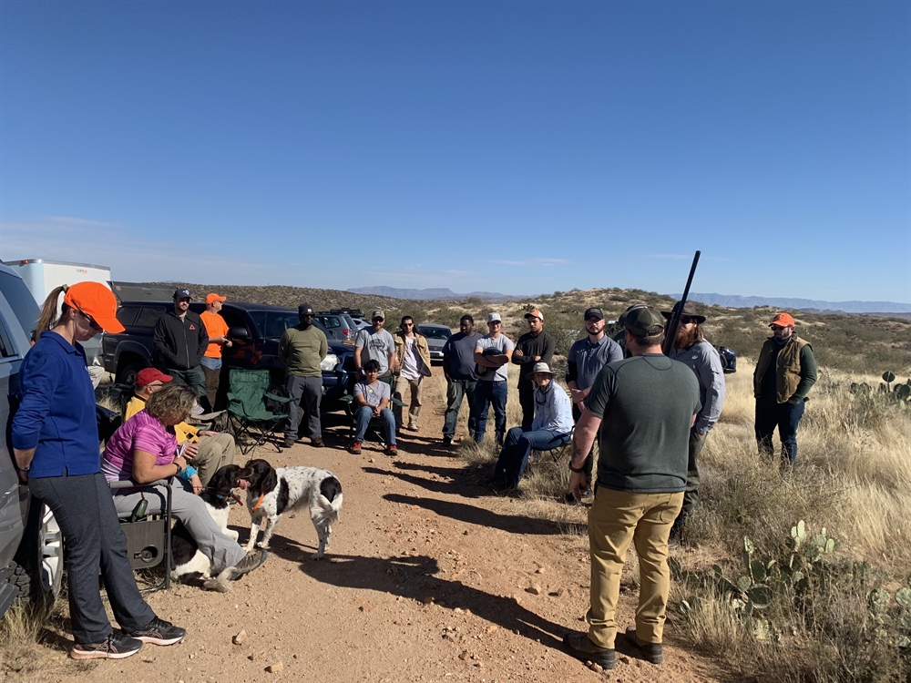 Chasing Quail in Southern Arizona with New Hunters