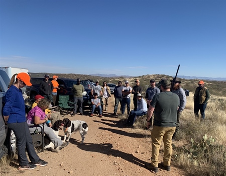 Chasing Quail in Southern Arizona with New Hunters