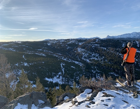 Drastic Changes to Quality Elk Hunting in District 313 Proposed