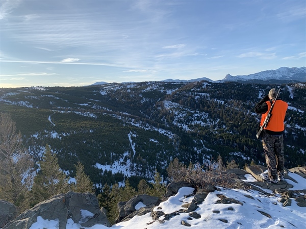 Drastic Changes to Quality Elk Hunting in District 313 Proposed
