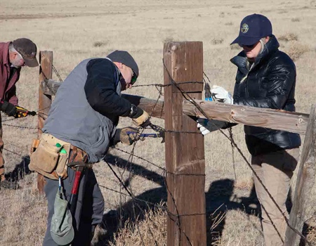 Big Springs Fence Pull and Replacement