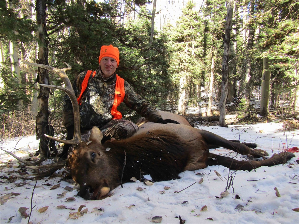 Colorado Over-The-Counter  (OTC) Unit Elk Hunting:  Problems & Possibilities