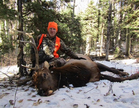 Colorado Over-The-Counter  (OTC) Unit Elk Hunting:  Problems & Possibilities