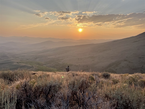 Oregon Chapter Accomplishments