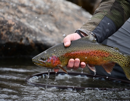 Protect Colorado's Thompson Divide