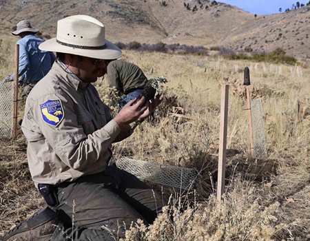Stewardship Spotlight California BHA 2022