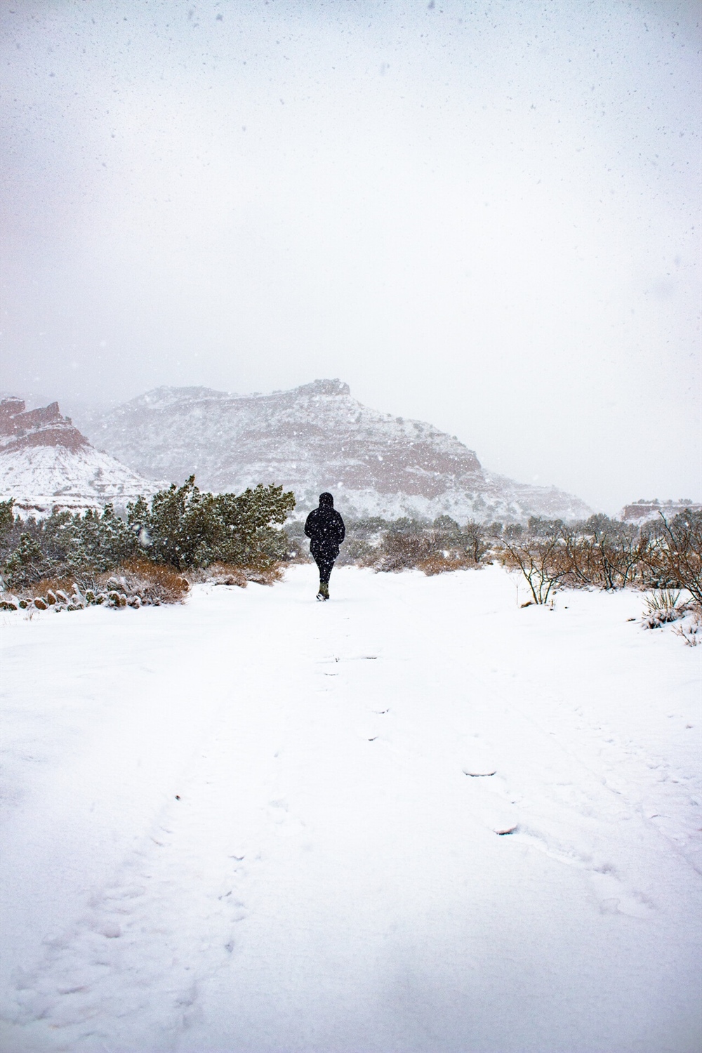 Nevada Public Lands Could Receive National Monument Designation