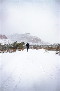 Nevada Public Lands Could Receive National Monument Designation