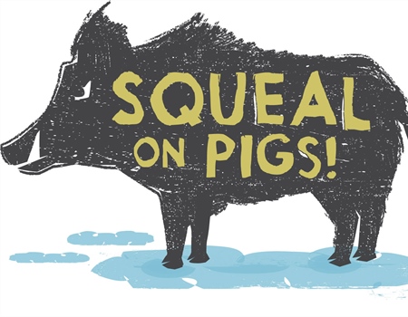 Montana - squeal on pigs!