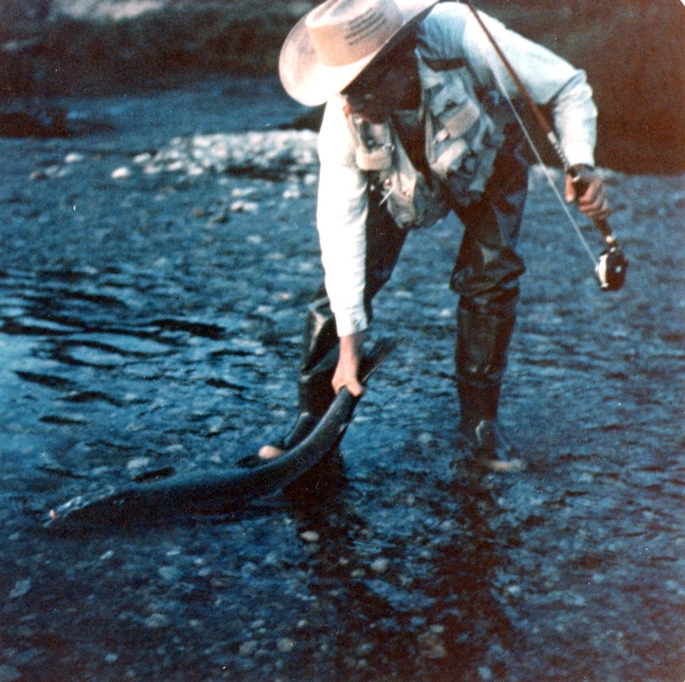 A Farewell to Fish