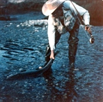 A Farewell to Fish