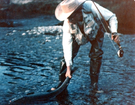 A Farewell to Fish