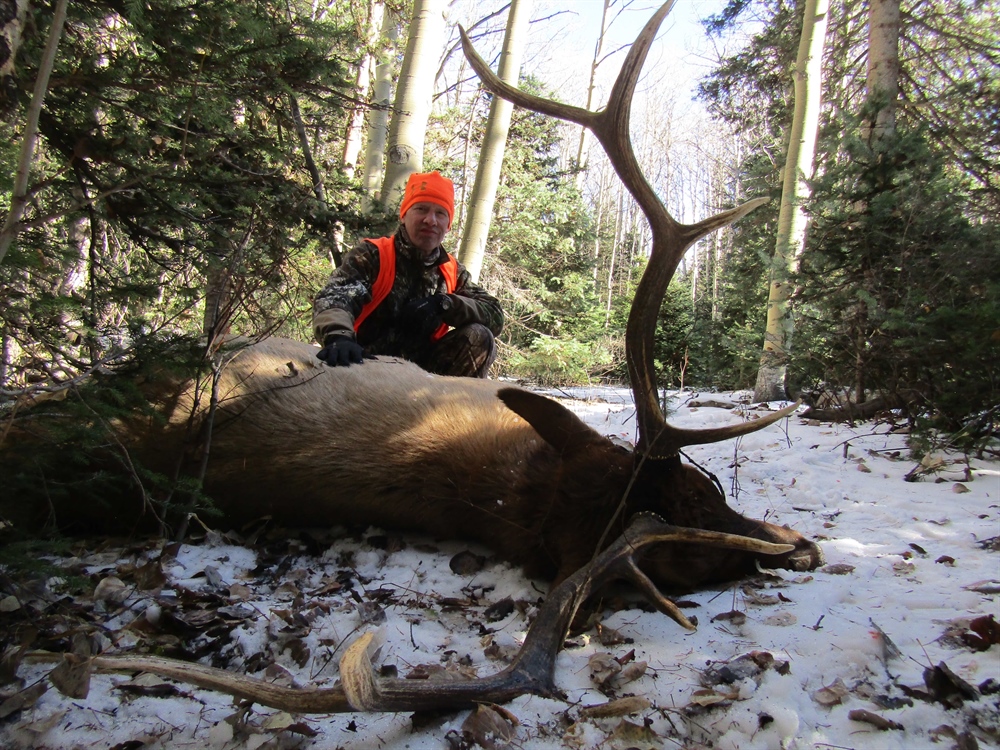 Colorado Over The Counter (OTC) Unit Elk Hunting