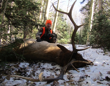 Colorado Over The Counter (OTC) Unit Elk Hunting