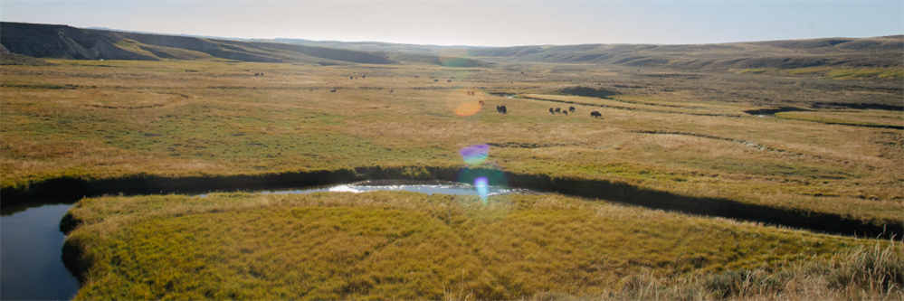 How Public Lands Re-centered and Saved Me