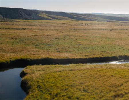 How Public Lands Re-centered and Saved Me