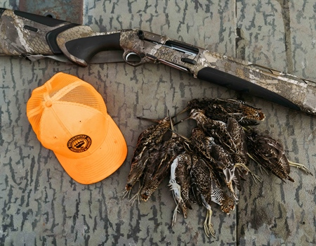 Hunting groups say Rosendale misfired on gun tax repeal