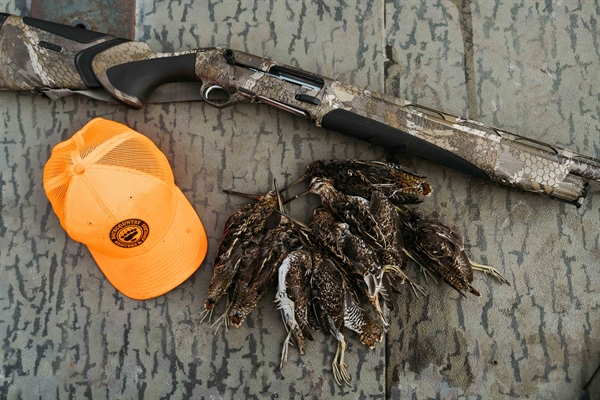 Hunting groups say Rosendale misfired on gun tax repeal