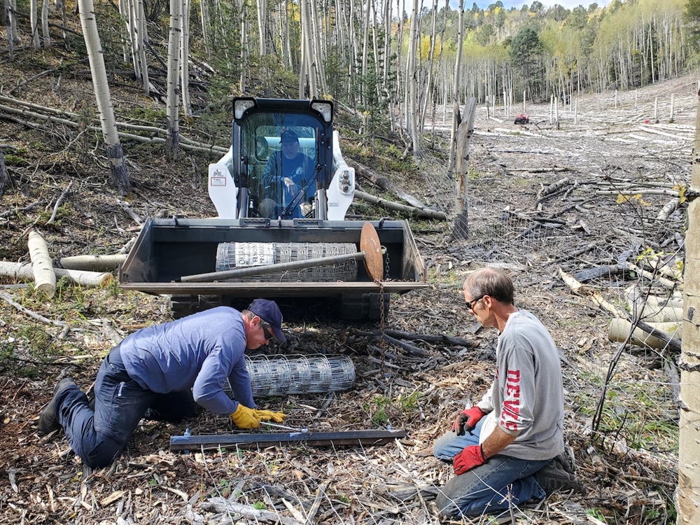 Dome Rock SWA Aspen Regeneration Project