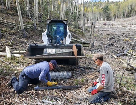 Dome Rock SWA Aspen Regeneration Project