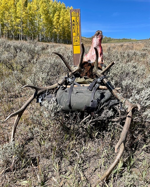 Montana BHA Fall '22 Newsletter