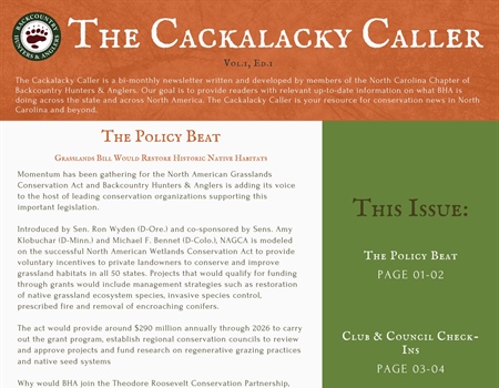 The Cackalacky Caller, Volume 1, 1st Edition