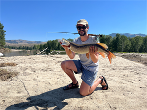 Tacos On the Fly
