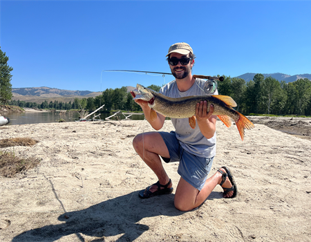 Tacos On the Fly