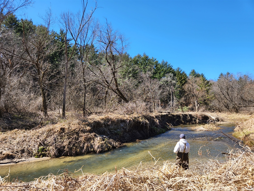 Lessons From a Bad Fly Fisher