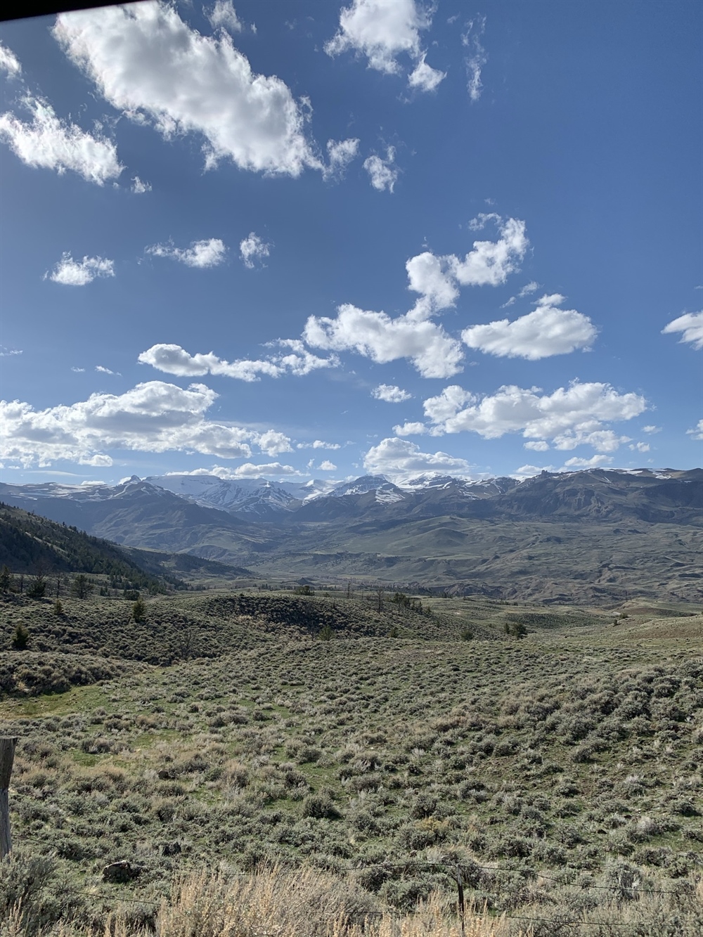 Sagebrush Conservation Outlined in New Federal Management Plan