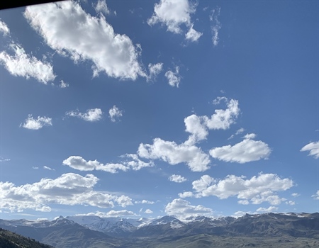Sagebrush Conservation Outlined in New Federal Management Plan