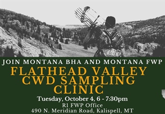 Free Kalispell, Libby clinics to teach hunters how to collect their own CWD samples