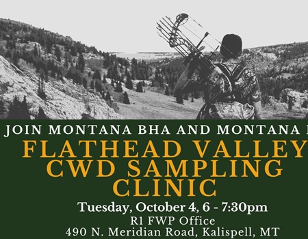 Free Kalispell, Libby clinics to teach hunters how to collect their own CWD samples