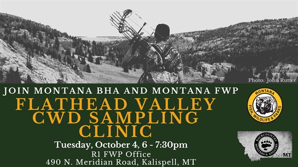 Free Kalispell, Libby clinics to teach hunters how to collect their own CWD samples