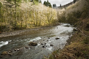 New Mexico Supreme Court Rules in Support of Public Access to Public Waters