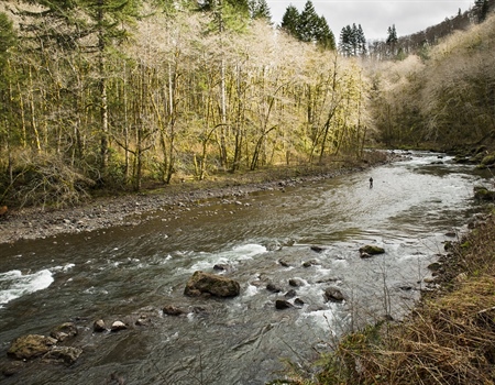 New Mexico Supreme Court Rules in Support of Public Access to Public Waters