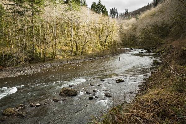 New Mexico Supreme Court Rules in Support of Public Access to Public Waters