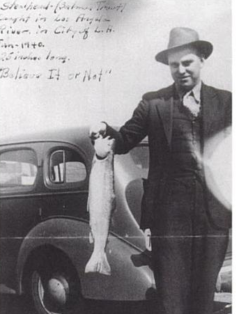 Southern California steelhead CESA listing