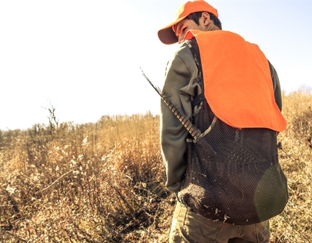 Commission approves release of pheasants reared at Montana State Prison