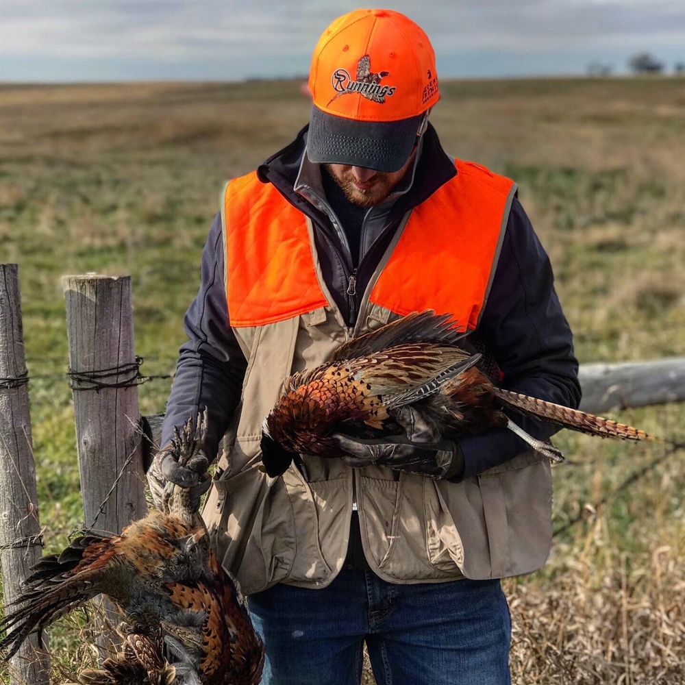 OPINION: Time to kill FWP's pheasant stocking