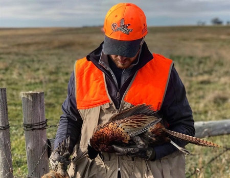 OPINION: Time to kill FWP's pheasant stocking