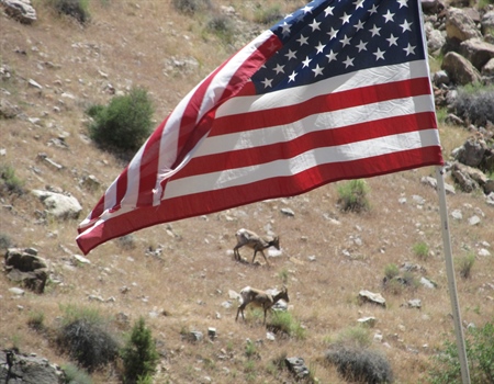 Armed Forces Initiative Helps  Veterans Hunt … And More