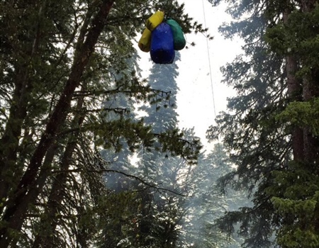 Forest Management Bill to Reverse ‘Cottonwood Decision’ Clears Senate Committee