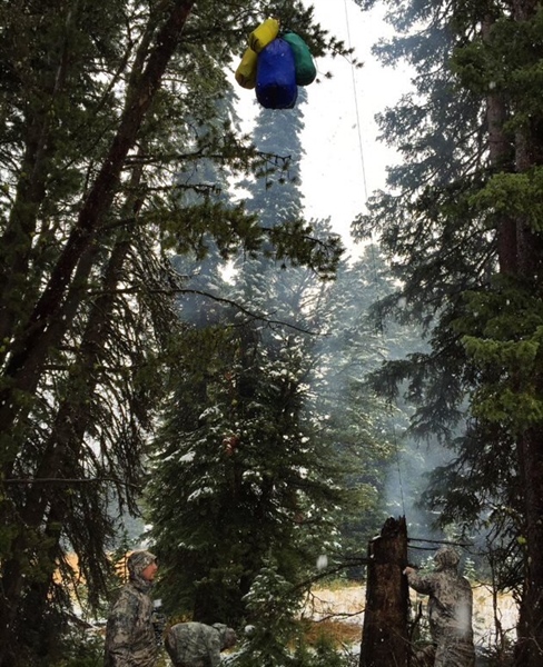 Forest Management Bill to Reverse ��Cottonwood Decision’ Clears Senate Committee