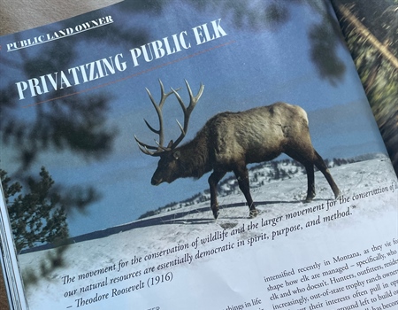 July '22 Montana Elk Update