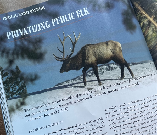 July '22 Montana Elk Update