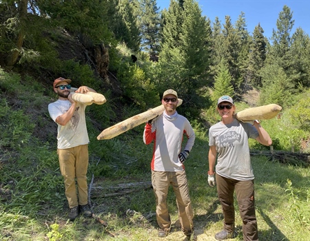 EVENT RECAP: Antelope Creek Stream Restoration